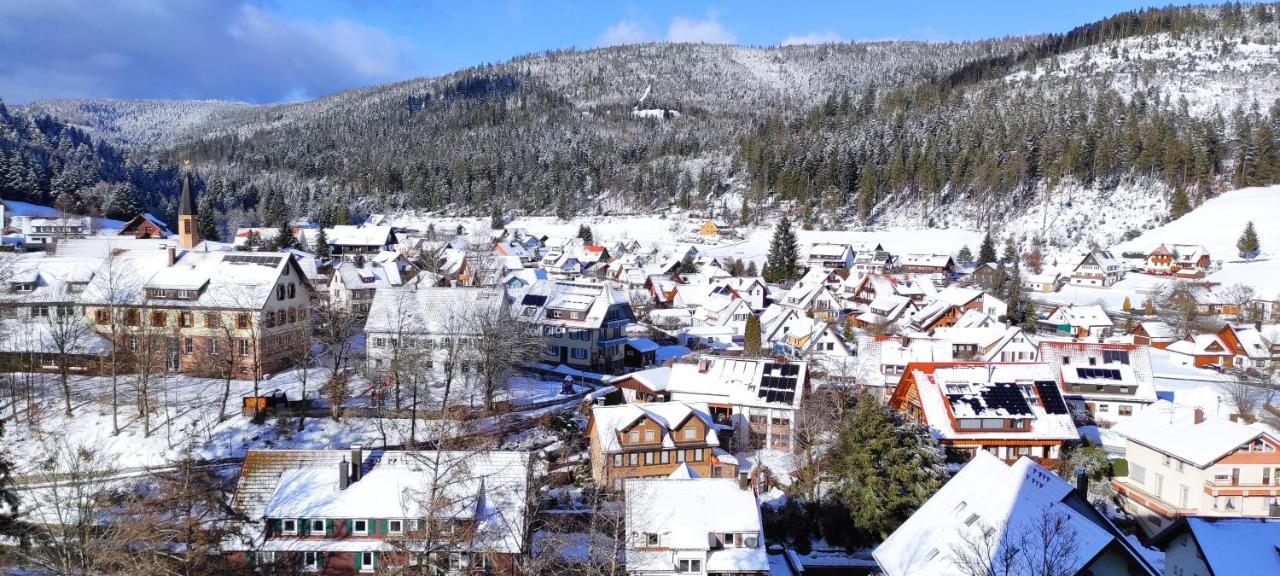 Ferienwohnung Vogelnest Im Schwarzwald Байрсброн Экстерьер фото